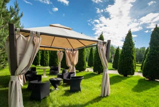 Party Lawn